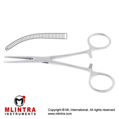 Kocher (Delicate) Haemostatic Forceps Curved - 1 x 2 Teeth Stainless Steel, 16 cm - 6 1/4" 